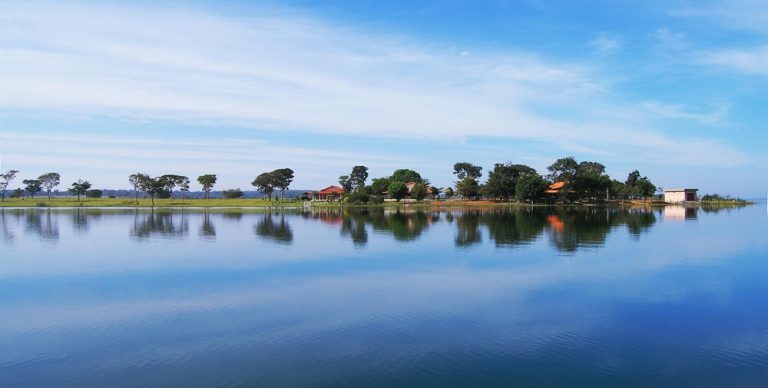 Calm wetland landscape on Marajó Island, one of the best islands in Brazil for nature and wildlife Caption Description