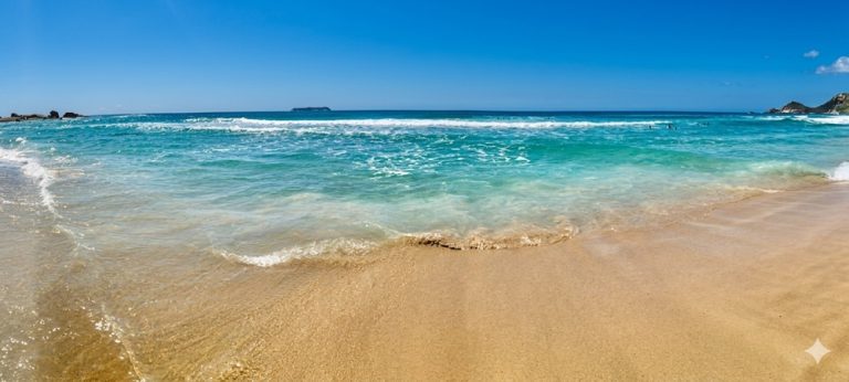 Beaches in Brazil showing Praia Mole with golden sand and clear blue water in Florianópolis Caption Description