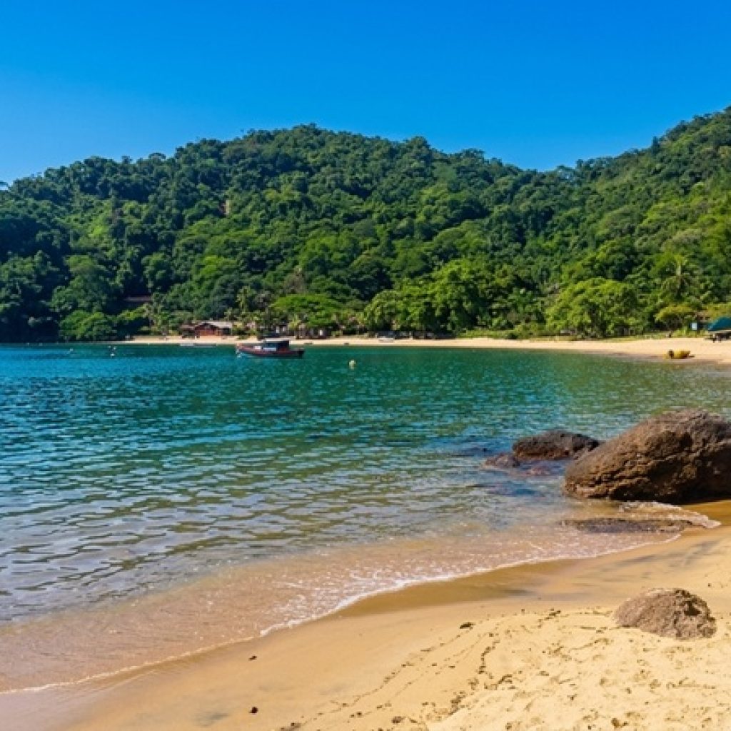 Beaches in Brazil showing Praia do Flamengo with calm water and natural coastline in Salvador