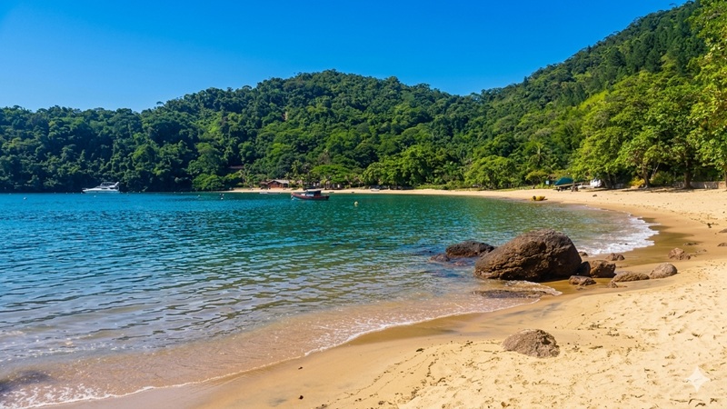 Beaches in Brazil showing Praia do Flamengo with calm water and natural coastline in Salvador