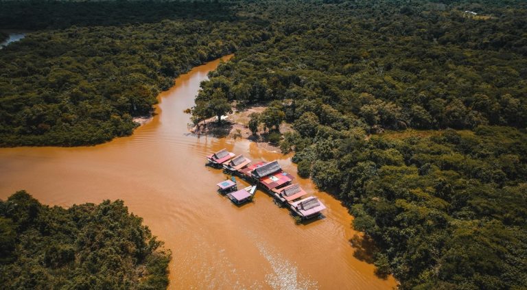 Remote river village surrounded by jungle in an Amazon Rainforest Brazil Guide near Manaus