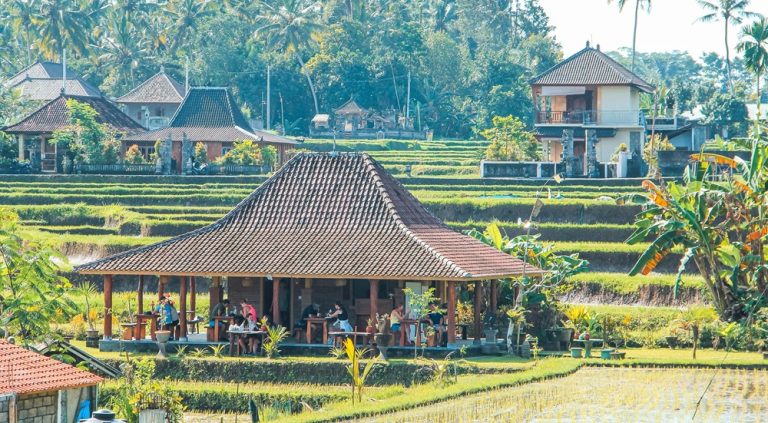 Rice terrace café surrounded by lush green fields near Ubud, demonstrating how to get around Bali and explore rural cultural landscapes Caption: Description: