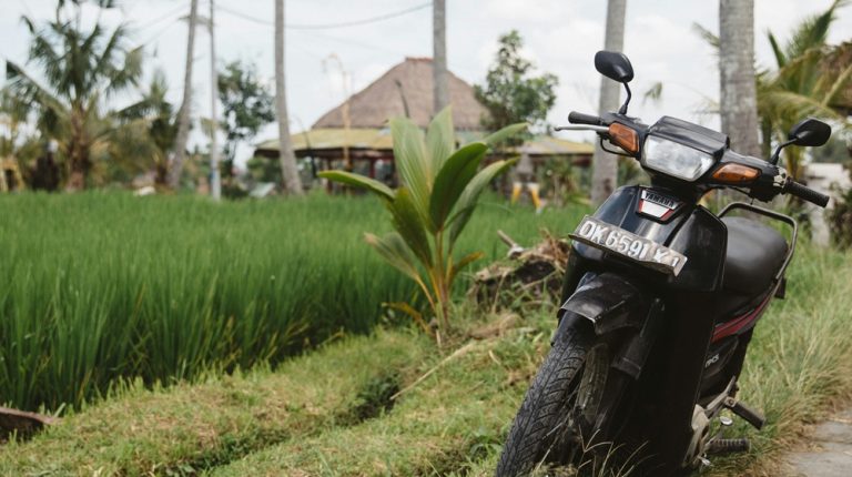 Scooter parked beside rice fields in Bali – is Bali safe for tourists renting scooters and exploring the island Caption Description