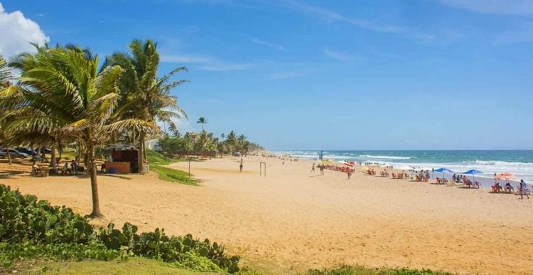Sunny view of Stella Maris Beach in Salvador Brazil with palm trees and golden sand