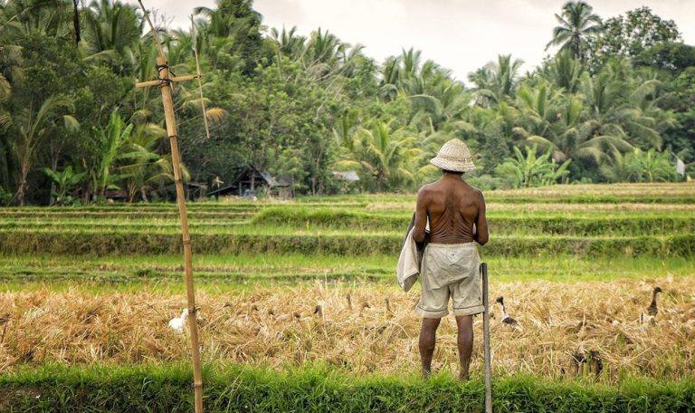 Traditional rice farmer in Bali countryside featured in a Bali itinerary exploring rice terraces and rural Bali