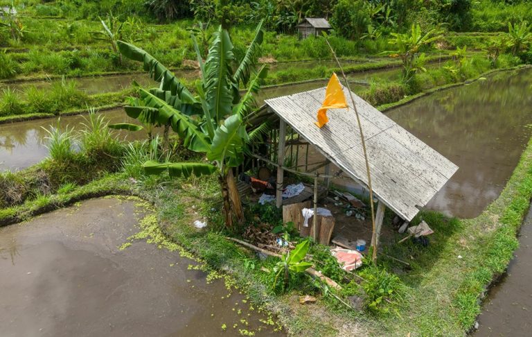 Where to stay in Bali near rice fields, traditional farming villages, and peaceful countryside scenery Caption: Description: