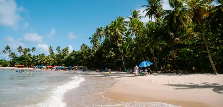 Palm-lined tropical beach in Salvador Brazil with white sand and calm turquoise water