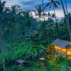Bali belly guide for travelers visiting a tropical resort landscape in Bali Indonesia