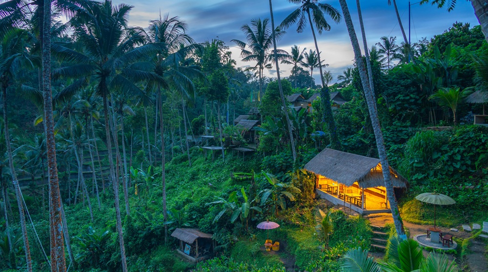 Bali belly guide for travelers visiting a tropical resort landscape in Bali Indonesia