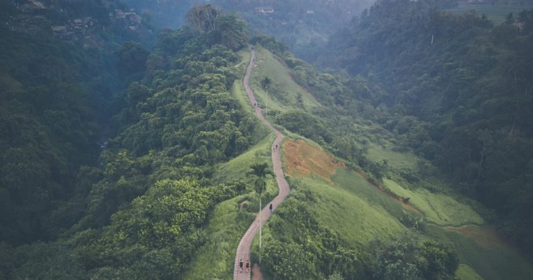 Ubud travel guide featuring the Campuhan Ridge Walk and scenic jungle landscapes in Ubud, Bali