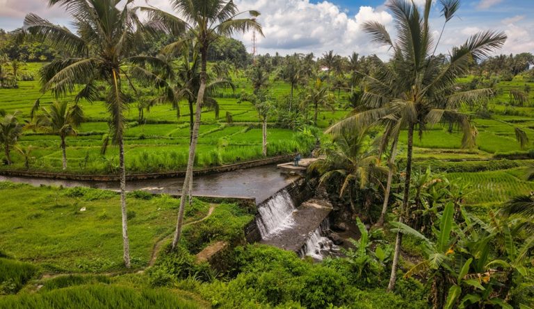 Day trips from Bali featuring the lush Jatiluwih Rice Terraces and traditional irrigation channels