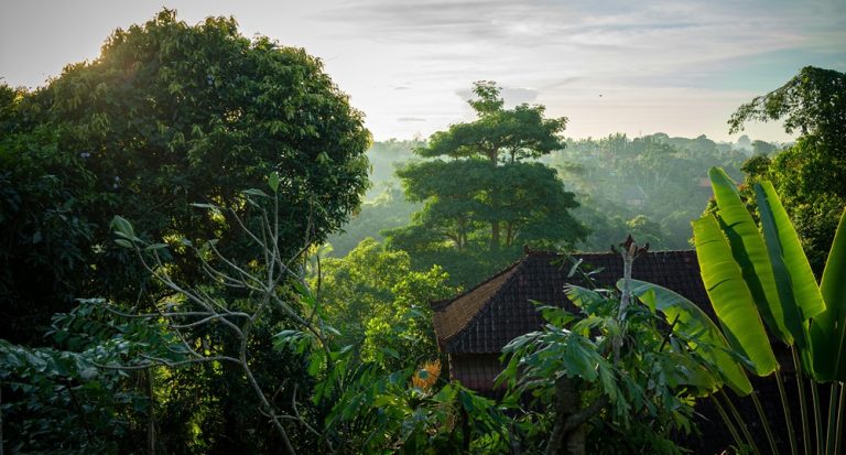 Ubud travel guide featuring lush jungle scenery, traditional villas, and tropical landscapes in Ubud, Bali