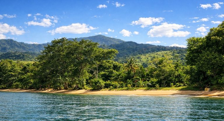 Parcs nationaux de Madagascar – plage tropicale et forêt primaire du Parc National de Masoala
