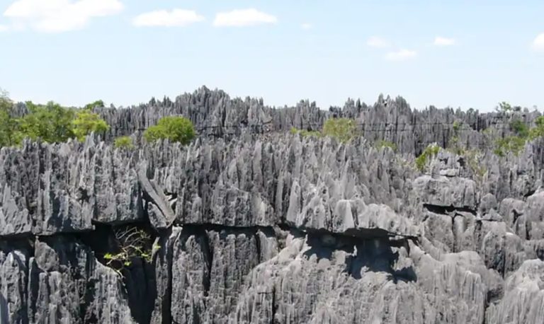 Parcs nationaux de Madagascar – formations rocheuses des Tsingy de Bemaraha classées au patrimoine mondial de l’UNESCO Légende : Description :