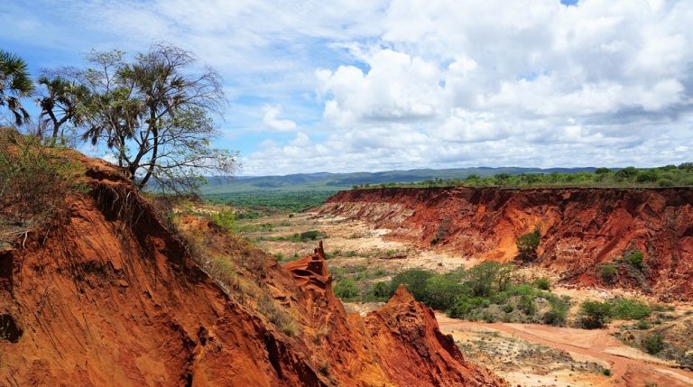 Parcs nationaux de Madagascar – canyon d’érosion et terres rouges dans le Parc National de l’Ankarafantsika Légende : Description :