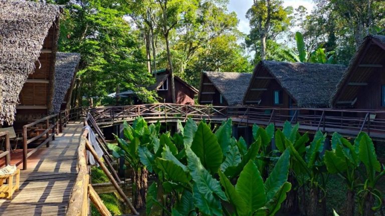 Parcs nationaux de Madagascar – hébergements du Longoza Ecolodge près du Parc National d’Andasibe-Mantadia Légende : Description :
