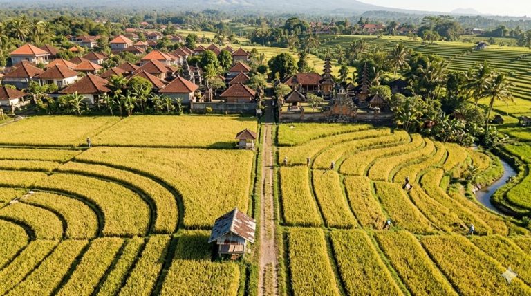 Canggu travel guide rice terraces and traditional Balinese countryside landscape near Bali's southwest coast Caption Description