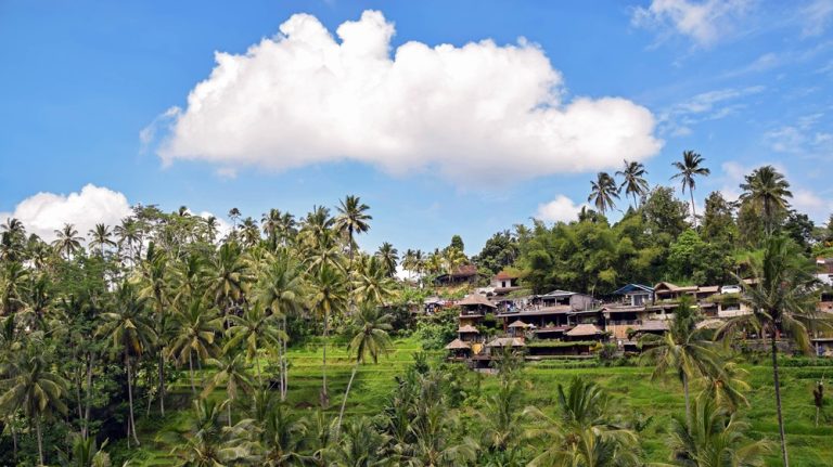Ubud travel guide featuring rice terraces, traditional villages, and tropical landscapes in the countryside around Ubud, Bali