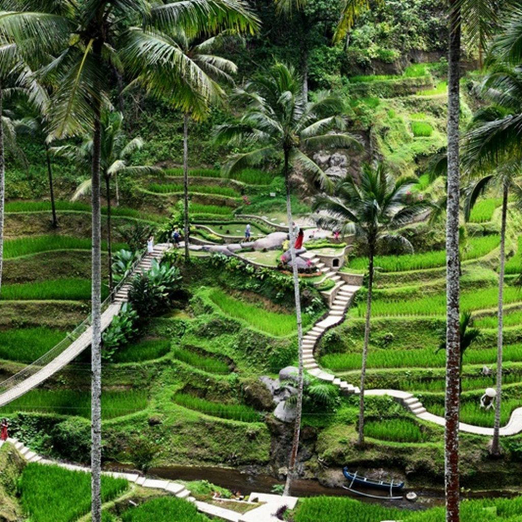 Ubud travel guide featuring the Tegalalang Rice Terraces, walking paths, and tropical scenery near Ubud, Bali