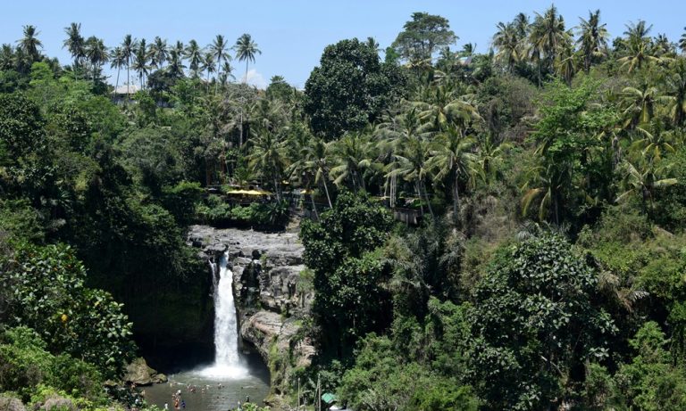 Ubud travel guide featuring Tegenungan Waterfall surrounded by tropical jungle near Ubud, Bali Caption Description