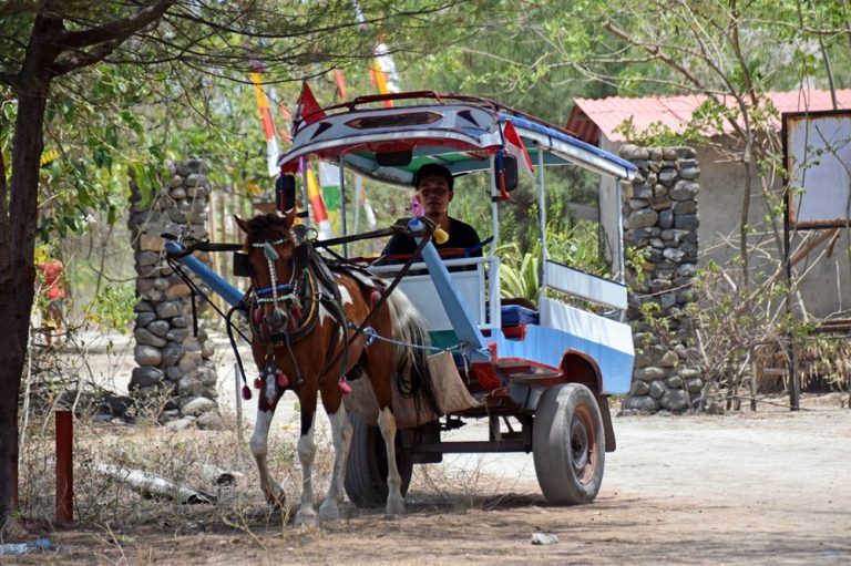 Traditional horse-drawn cidomo transporting visitors along a sandy road on one of the Gili Islands.