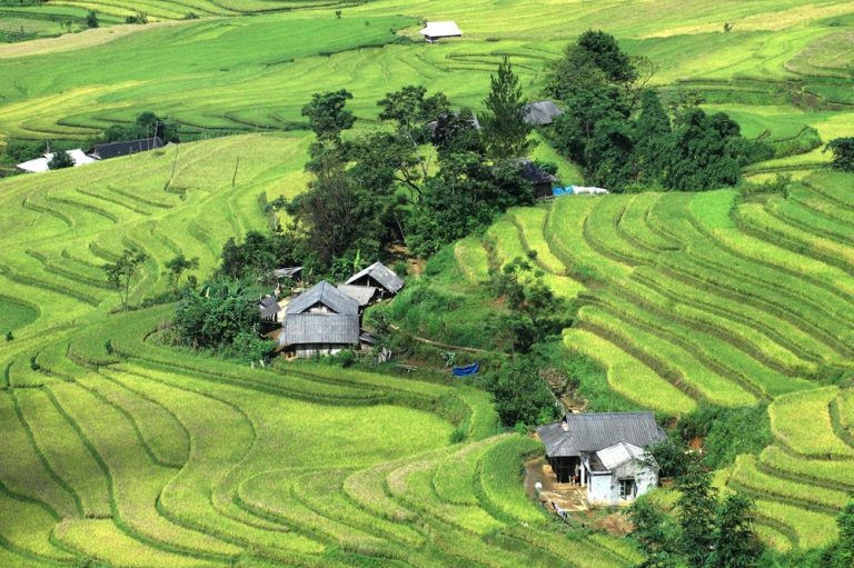 Traditional rice terraces and hill tribe villages in Sapa, one of the best things to do in Vietnam