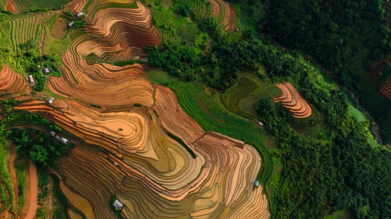 Aerial view of spectacular terraced rice fields in the mountains of northern Vietnam