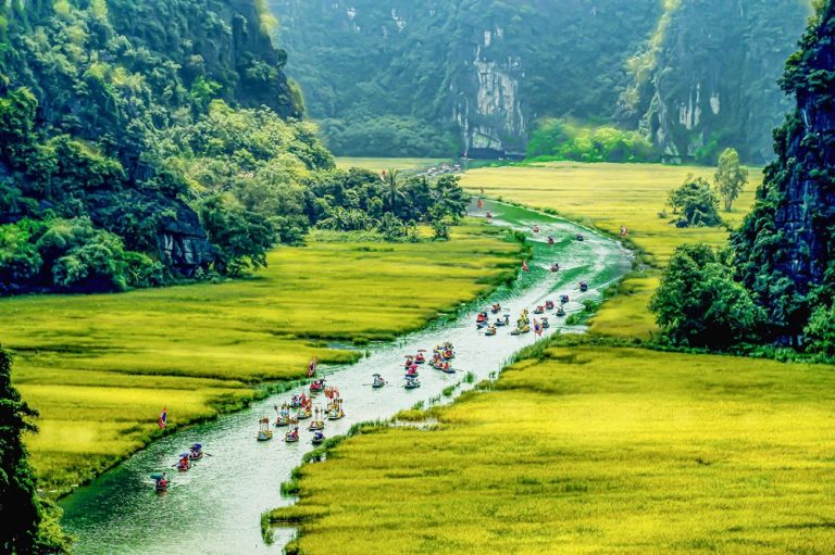 Rowing boats travelling along a river through golden rice fields and limestone mountains in Ninh Binh