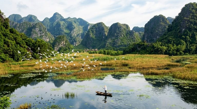 Wetland landscape surrounded by forested limestone mountains at Cuc Phuong National Park near Ninh Binh