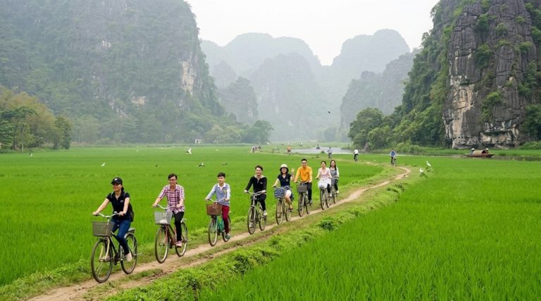 Travellers cycling along a rural path through green rice fields and limestone karsts in Ninh Binh