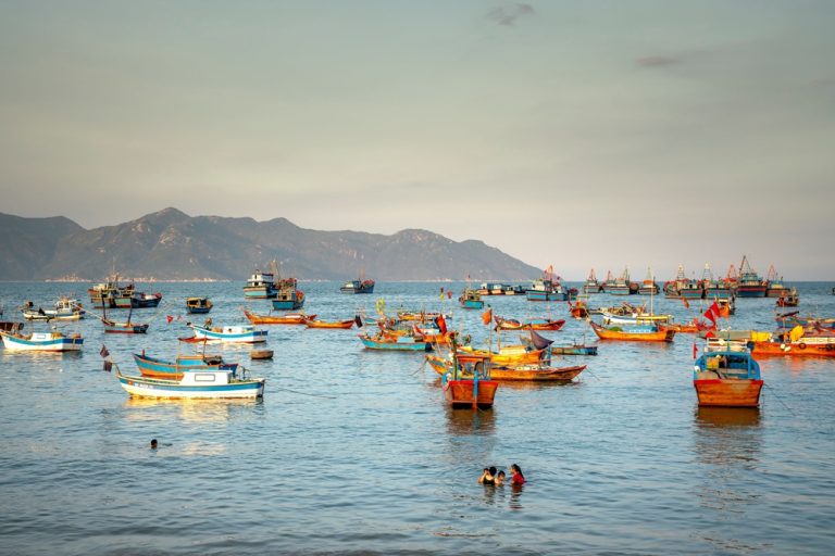 Traditional fishing boats anchored in the harbour at Con Dao Island with mountains in the background