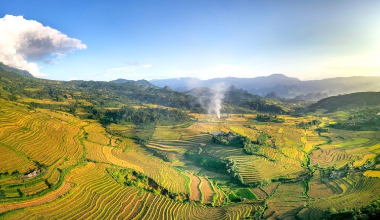 Golden rice terraces in northern Vietnam, one of the most breathtaking places to visit in Vietnam Caption Description
