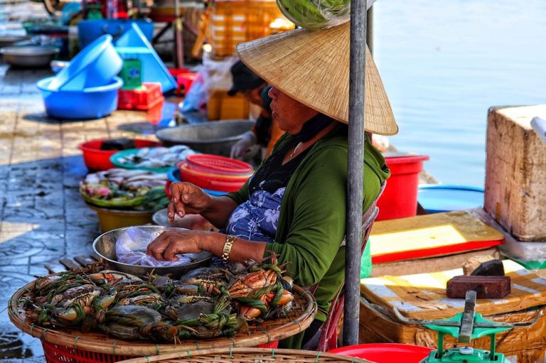 Things to do in Hoi An include visiting a local market and discovering fresh seafood and everyday Vietnamese life.