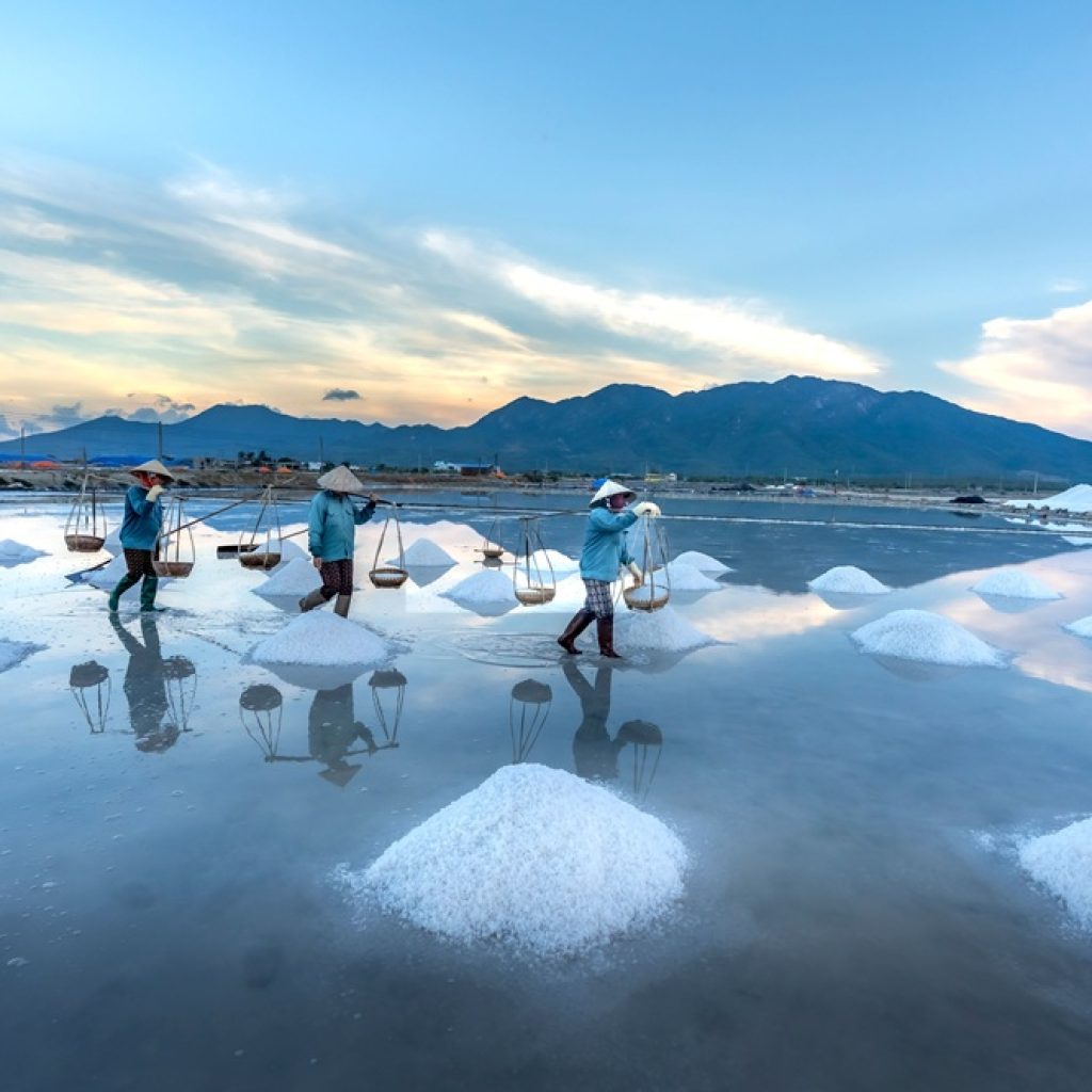 Salt workers harvesting sea salt at Hon Khoi Salt Fields, one of the unique places to visit in Vietnam