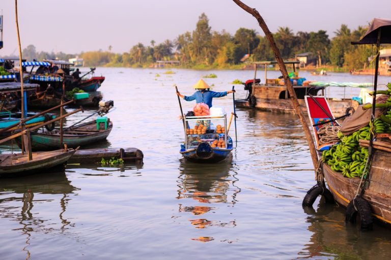 Vietnam travel budget - floating market boat selling fruit on the Mekong Delta