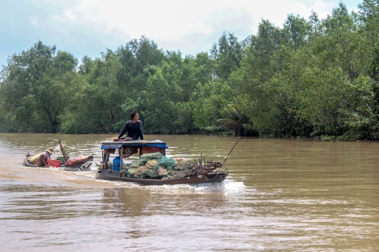 Traditional boats travelling along a wide river surrounded by tropical vegetation in the Mekong Delta