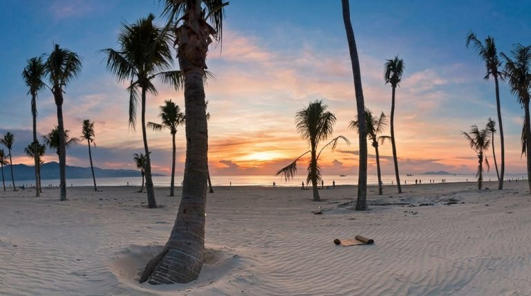 Palm trees on the sandy shoreline of My An Beach in Da Nang at sunset