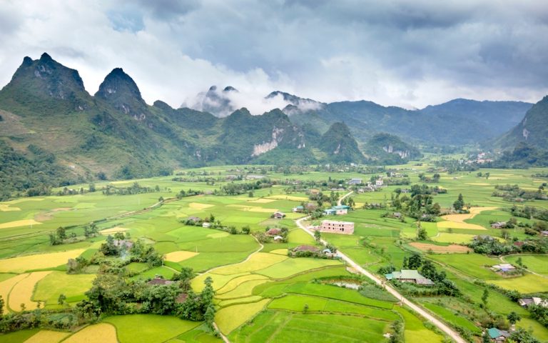 Lush rice fields and limestone mountains in Northern Vietnam during the best time to visit Vietnam