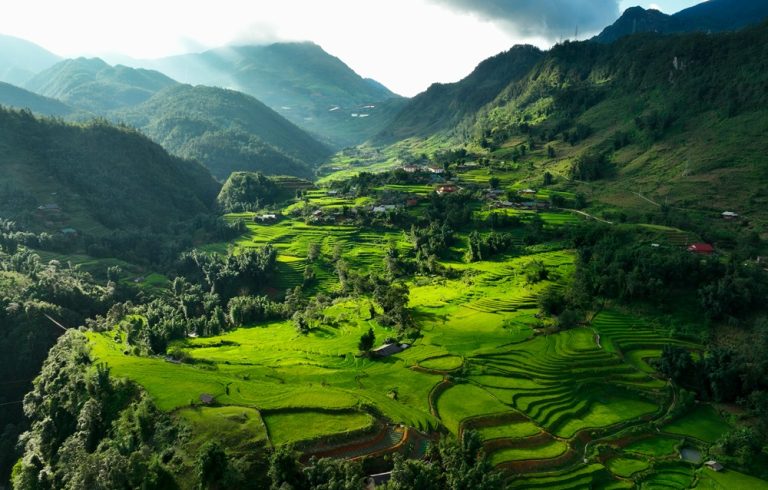 Lush green rice terraces covering a mountain valley in Northern Vietnam.