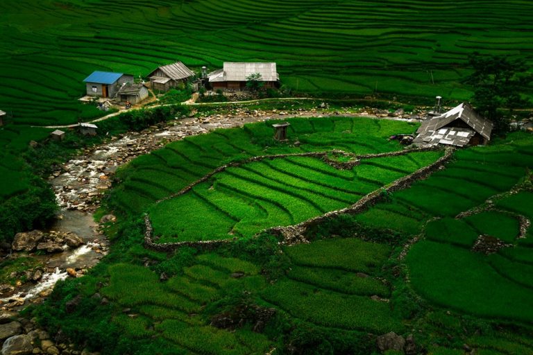 Lush green rice terraces surrounding a traditional mountain village in Sapa