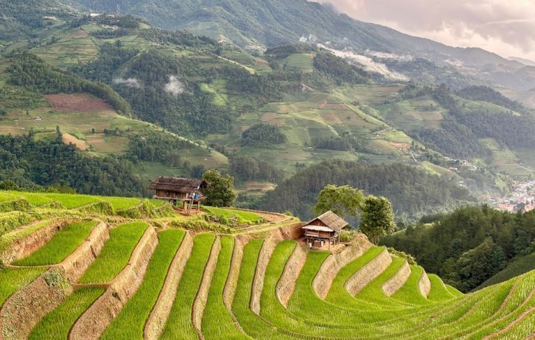 Terraced rice fields and traditional houses in the mountains near Sapa in northern Vietnam