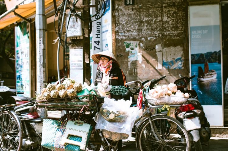Street vendor selling fresh fruit and vegetables from a bicycle in Hanoi