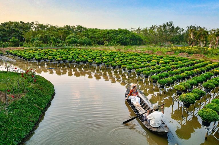 Traditional wooden boat passing through flower gardens in the Mekong Delta