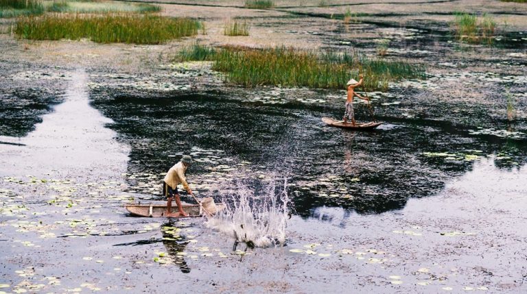 Local fishermen working from small wooden boats in the wetlands of Ninh Binh