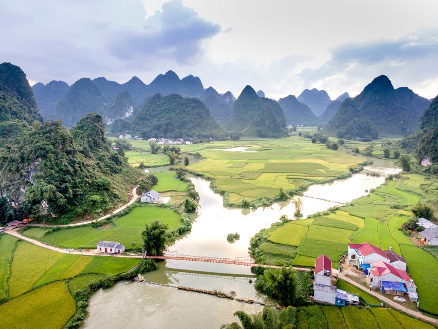 Vietnam travel budget - lush rice fields and dramatic limestone mountains in northern Vietnam
