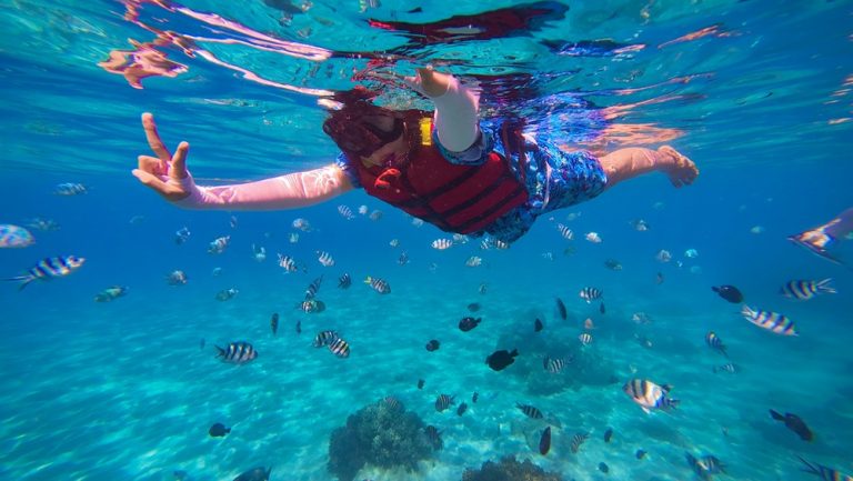 Snorkeler swimming among tropical fish in clear blue water during a snorkeling trip in Nha Trang